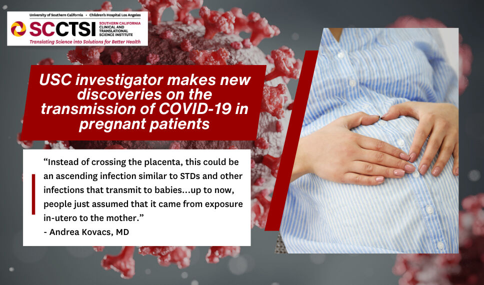 USC investigator makes new discoveries on the transmission of COVID-19 in pregnant patients