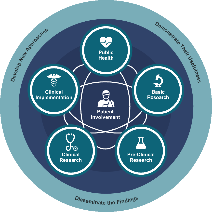 Chart of aspects of Clinical & Translational Science