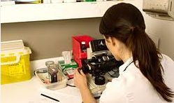 Join The Upcoming Orientation To Clinical Research at USC