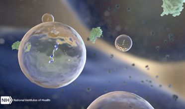 NCATS Will Administer 18 Research Awards On Extracellular RNA Communication