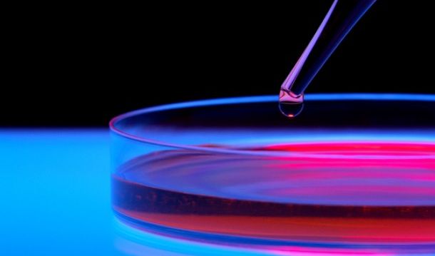 Maximizing the Impact of CTSA-Funded Research Protocols