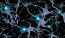 Research Team Evaluates Drug to Treat Alzheimer’s Disease and Improve Mild Cognitive Impairment