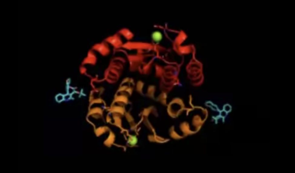 USC Researchers Develop Novel Approach to the Discovery of New Human Immunodeficiency Virus Drugs