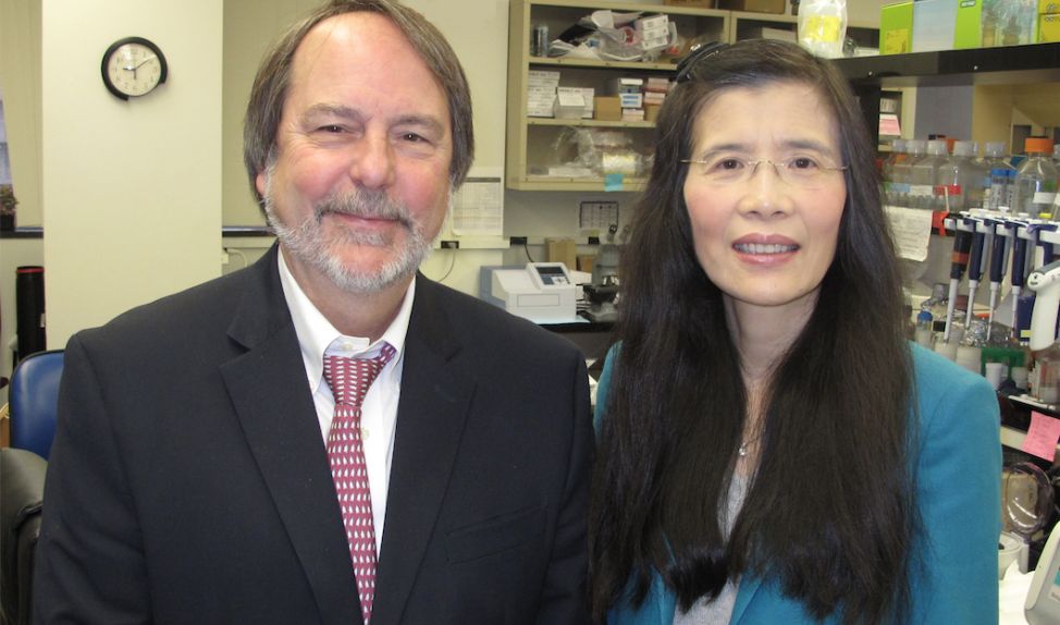 USC Researchers Prepare Human Trials of Potential Breakthrough Treatments for Devastating Genetic Skin Disorder
