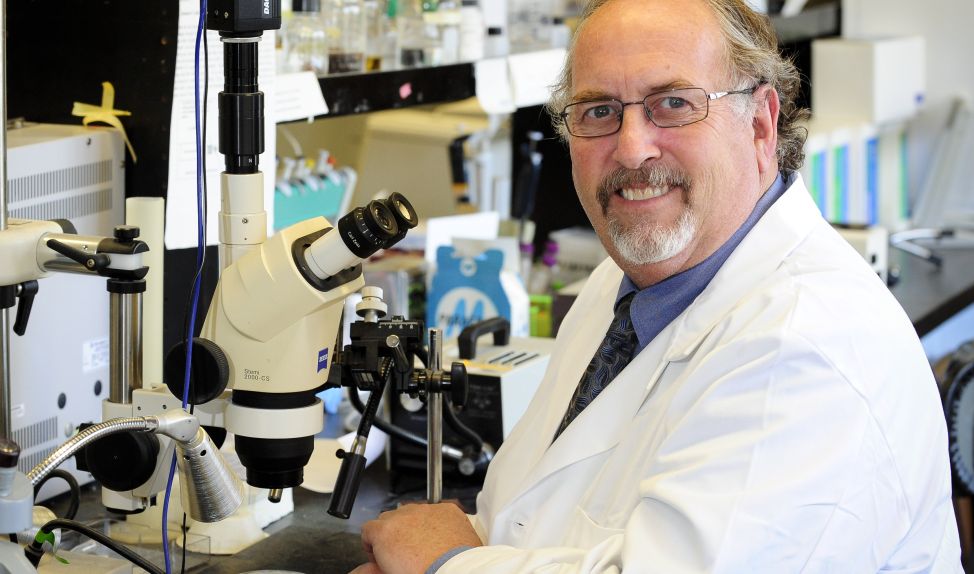 Drug Treatment for Alcohol Abuse Advances to Human Trials in Cross-Institutional Study