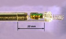 USC Researchers Land $1 Million NIH Grant To Develop Pacemaker For Unborn Babies