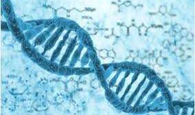 Determining Genetic Factors of Tumor Invasiveness