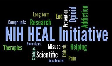 SC CTSI Provides Resources for Researchers Who Plan to Apply for NIH HEAL funding