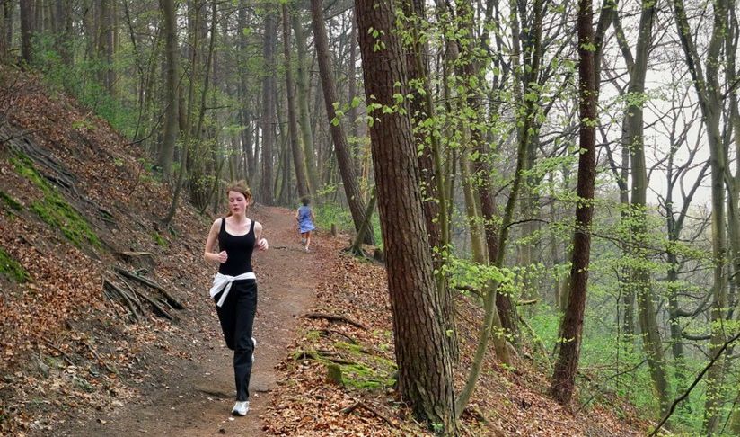 SC-CTSI-Supported Researcher Discovers New Hormone that Mimics the Effects of Exercise