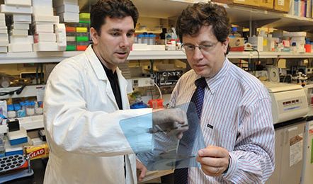 Research Rigor and Reproducibility